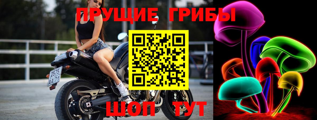 Псилоцибиновые грибы Psilocybe Фурманов