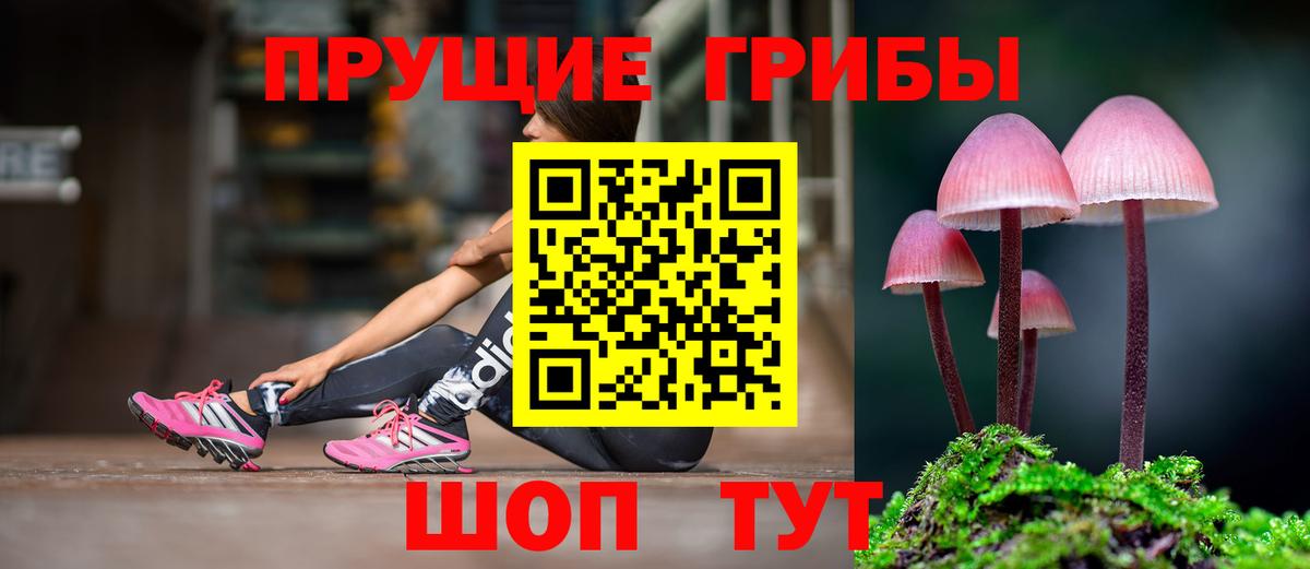 Фурманов  Галлюциногенные грибы мухоморы  Вход с VPN  Псилоцибиновые грибы Psilocybe 